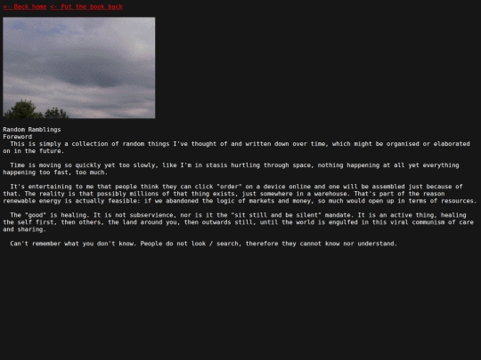 book_ramblings screenshot