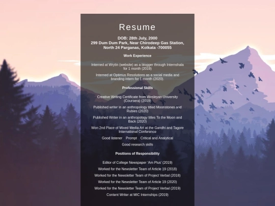 new website/resume screenshot