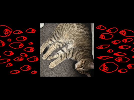 lookathim screenshot
