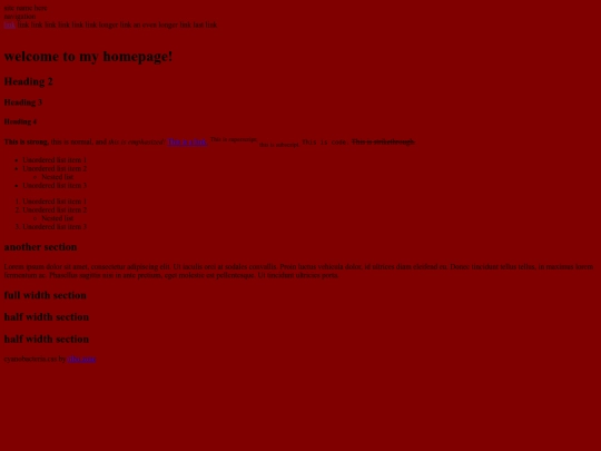 portfolio_site/code screenshot
