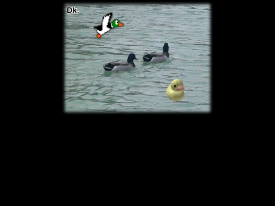 quack/mallard/ducksgoquack/duck screenshot