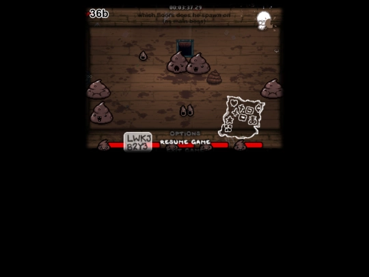 zygote/dingle screenshot