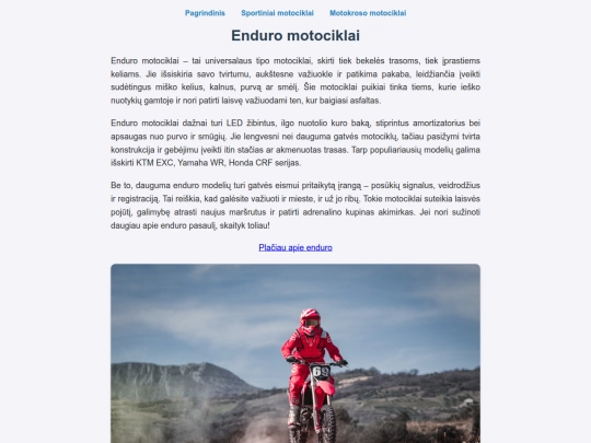 enduro screenshot