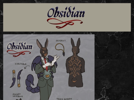 character_pages/obsidian screenshot