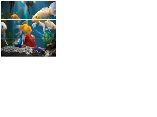 puzzle screenshot