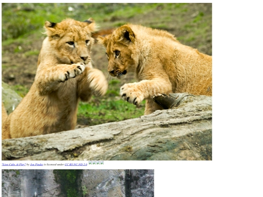 gallery screenshot