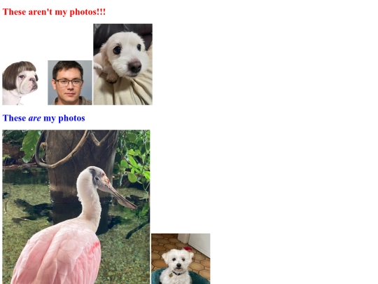 FunPhotos screenshot