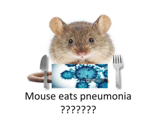 mice screenshot