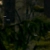 iderskye's avatar