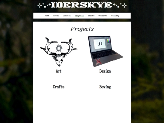 projects screenshot