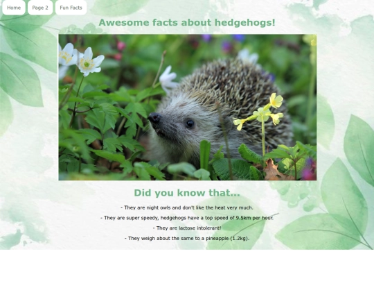 newfile screenshot