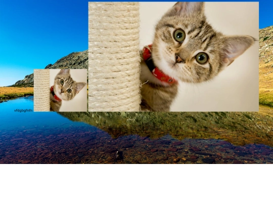 prueba screenshot