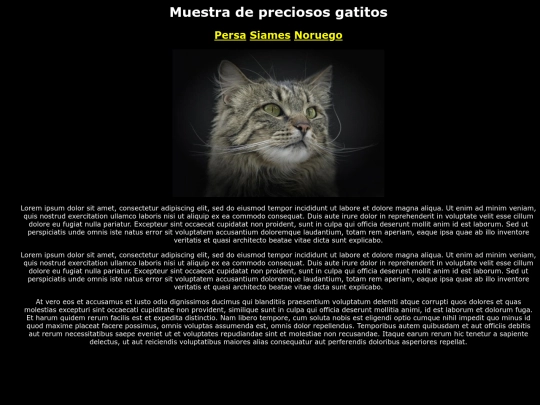 Examen 02/gatonoruega screenshot