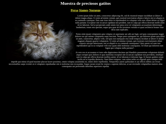 Examen 02/gatopersa screenshot