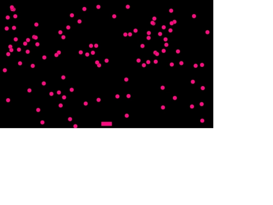 game/step3 screenshot