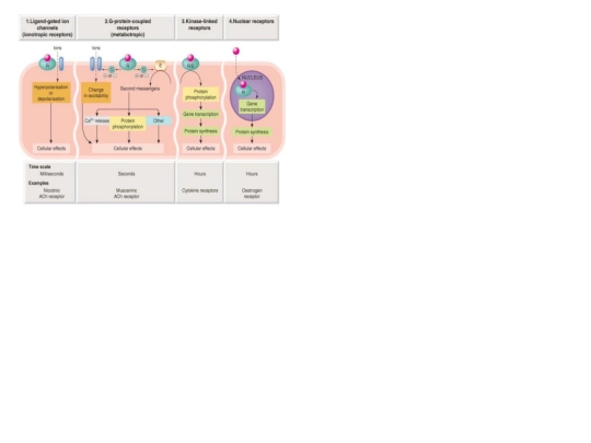 imagemap screenshot