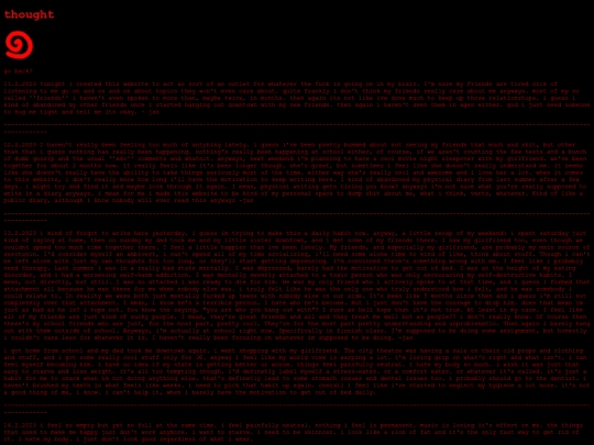 diary screenshot