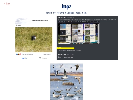 iframes/stuff/images screenshot