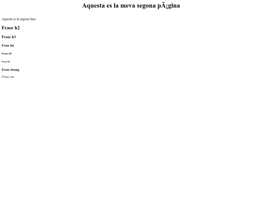 exercici 0 screenshot