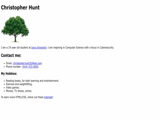 index screenshot