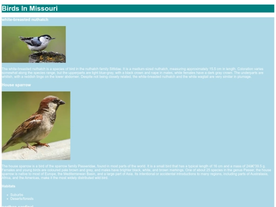 birds screenshot