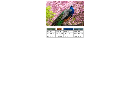 color-scheme screenshot