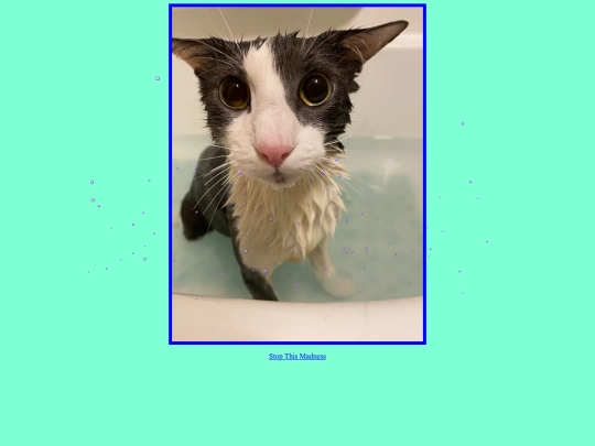 soggy screenshot