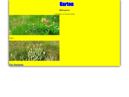 garten screenshot