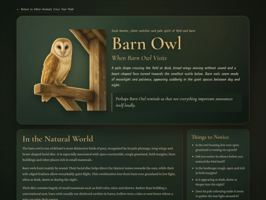 animal-barn-owl screenshot