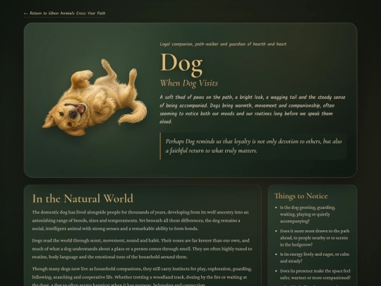 animal-dog screenshot