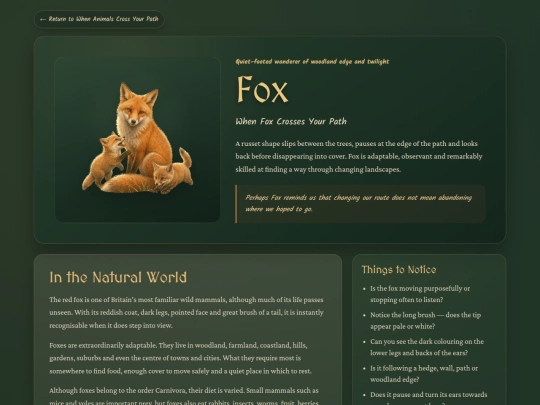animal-fox screenshot