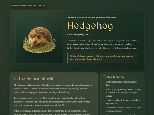 animal-hedgehog screenshot