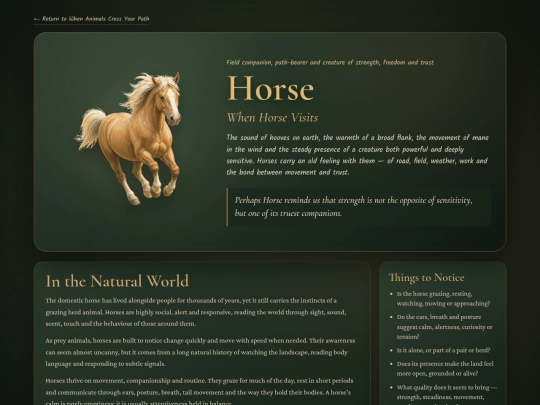 animal-horse screenshot