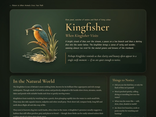 animal-kingfisher screenshot