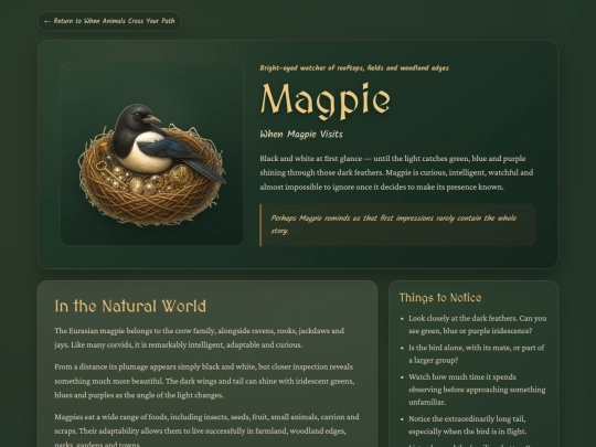 animal-magpie screenshot