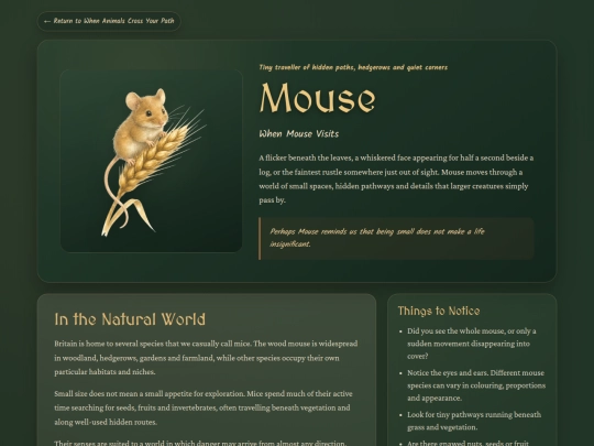 animal-mouse screenshot