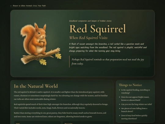 animal-red-squirrel screenshot