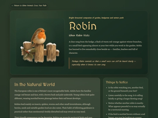 animal-robin screenshot