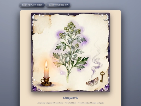 herb_mugwort screenshot