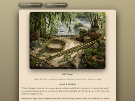 herb_willow screenshot