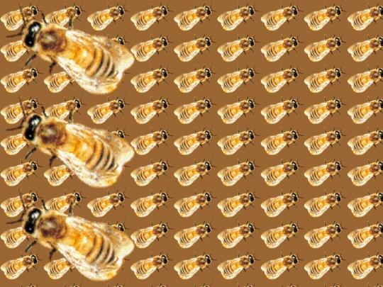 bee2 screenshot