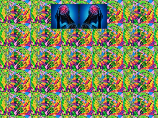 seizure screenshot
