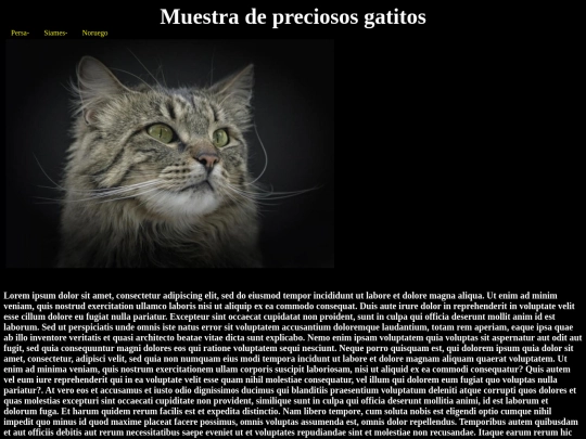 miriadax/noruego screenshot