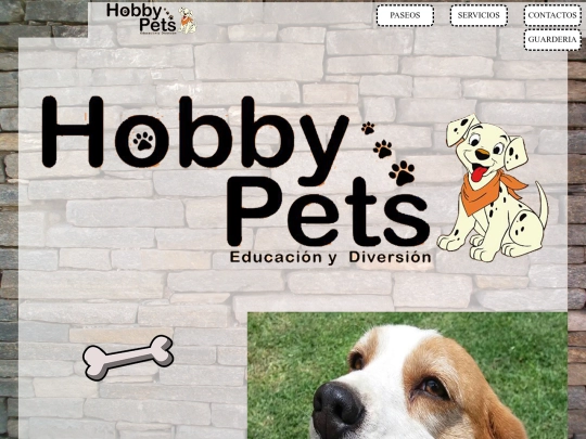 proyecto 6 screenshot