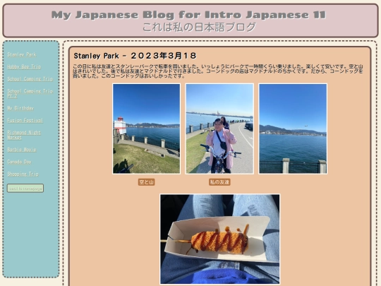 japnwebsite screenshot