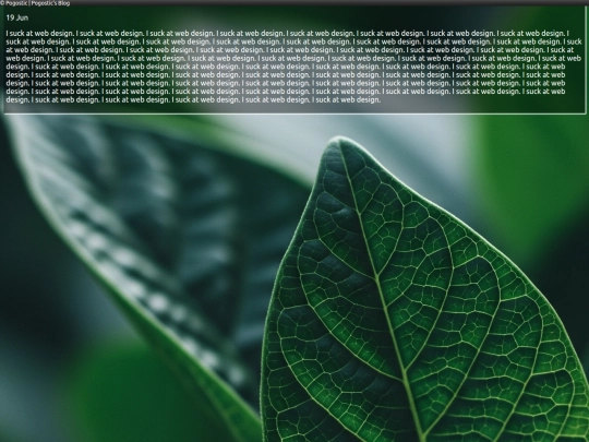 blog screenshot