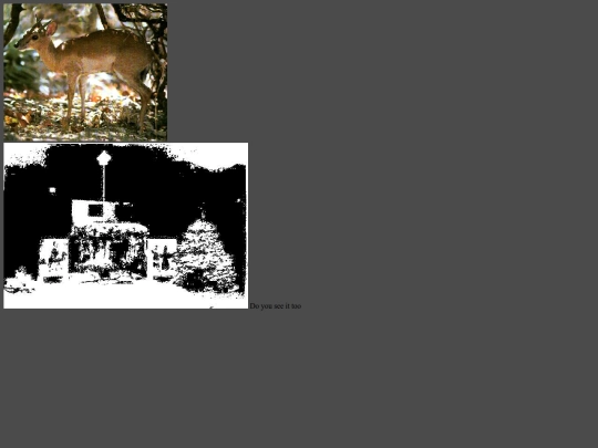 glubio/authority screenshot