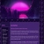 corvidae-mori.neocities.org avatar