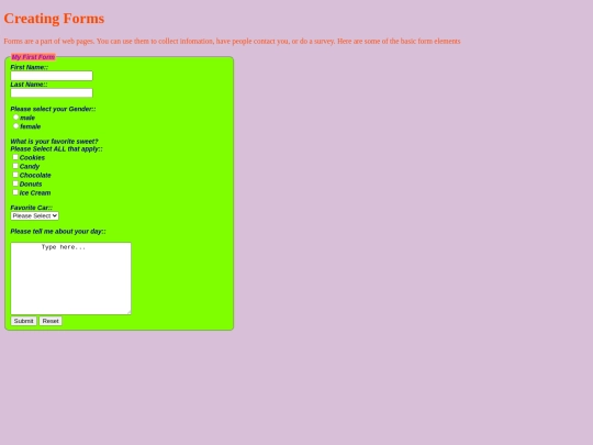 week13/forms screenshot