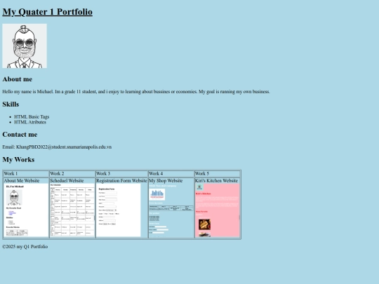 Michael Q1 portfolio screenshot